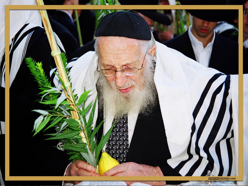 R' Chaim Pinchas Scheinberg 2 Sukkah Poster