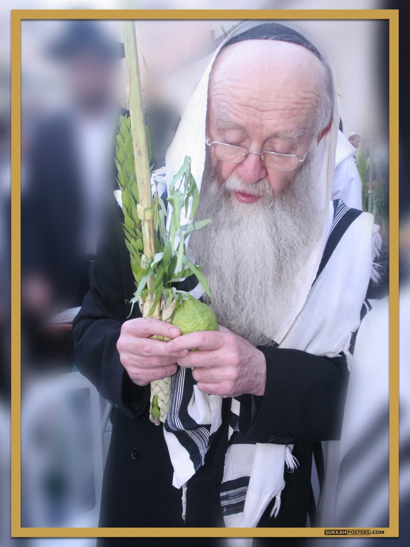 R' Refoel Shmuelevitz Sukkah Poster