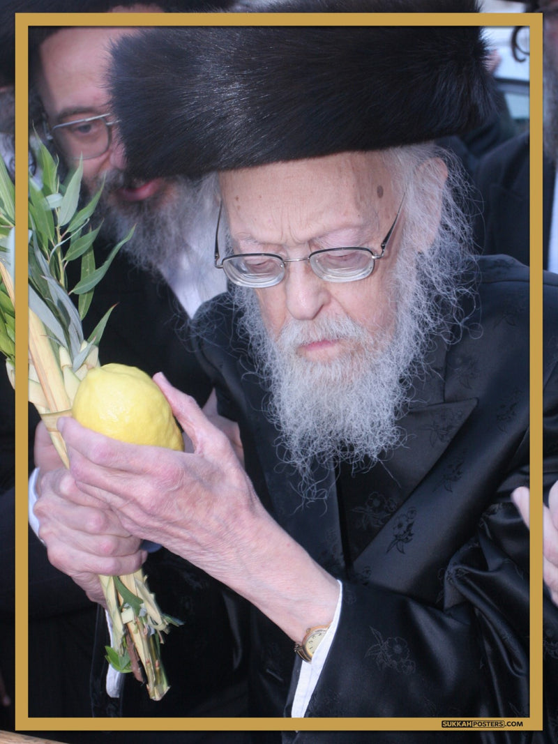 R' Yosef Shalom Elyashiv Sukkah Poster