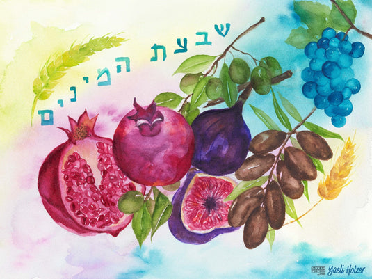 Yaeli Holzer