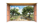 Olive Grove Watercolor Sukkah Mural