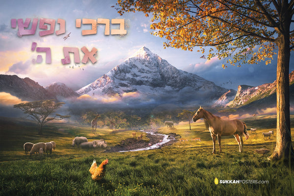 Beautiful Sukkah Posters