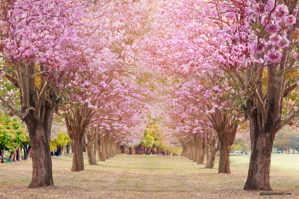 Pink, pink and pink! Transport yourself into a pink wonderland in this sukkah mural