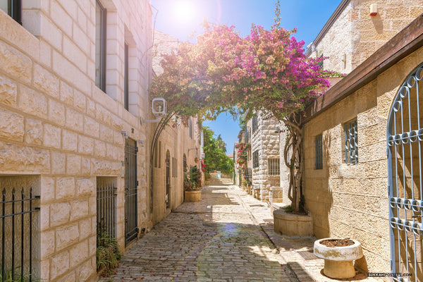 Magnificent waterproof Jerusalem Alley sukkah mural