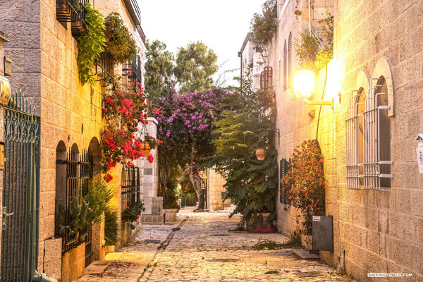 Enjoy the beauty of Jerusalem with this awesome scene in an alley in the Yemin Moshe neighborhood with thisSukkah Mural