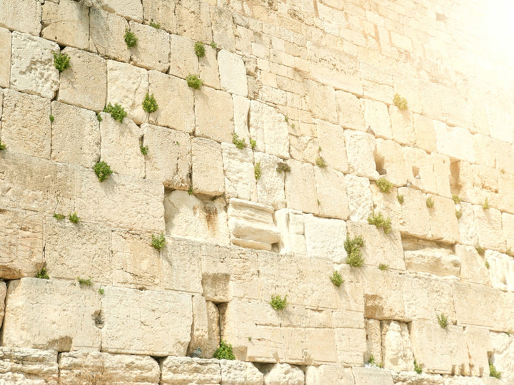 Kosel Glow Wall Print