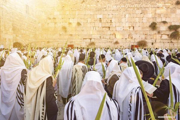 Kosel Hallel Sukkah Mural