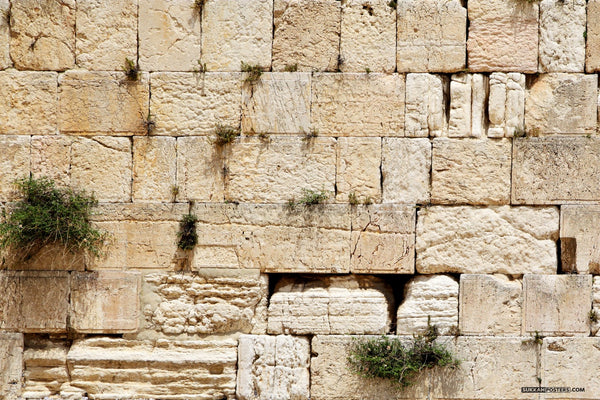 Kosel Experience Sukkah Mural