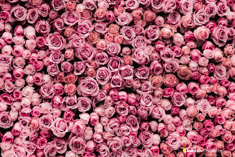 Rose Wall Sukkah Mural