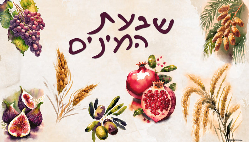 Sukkah mural of shivas haminim