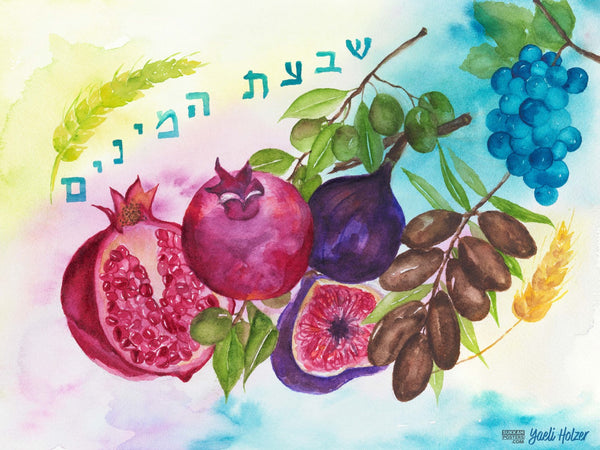 Shivas Haminim Watercolor Sukkah Poster #1