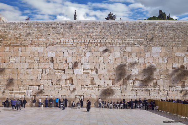 Wide Kosel Sukkah Mural