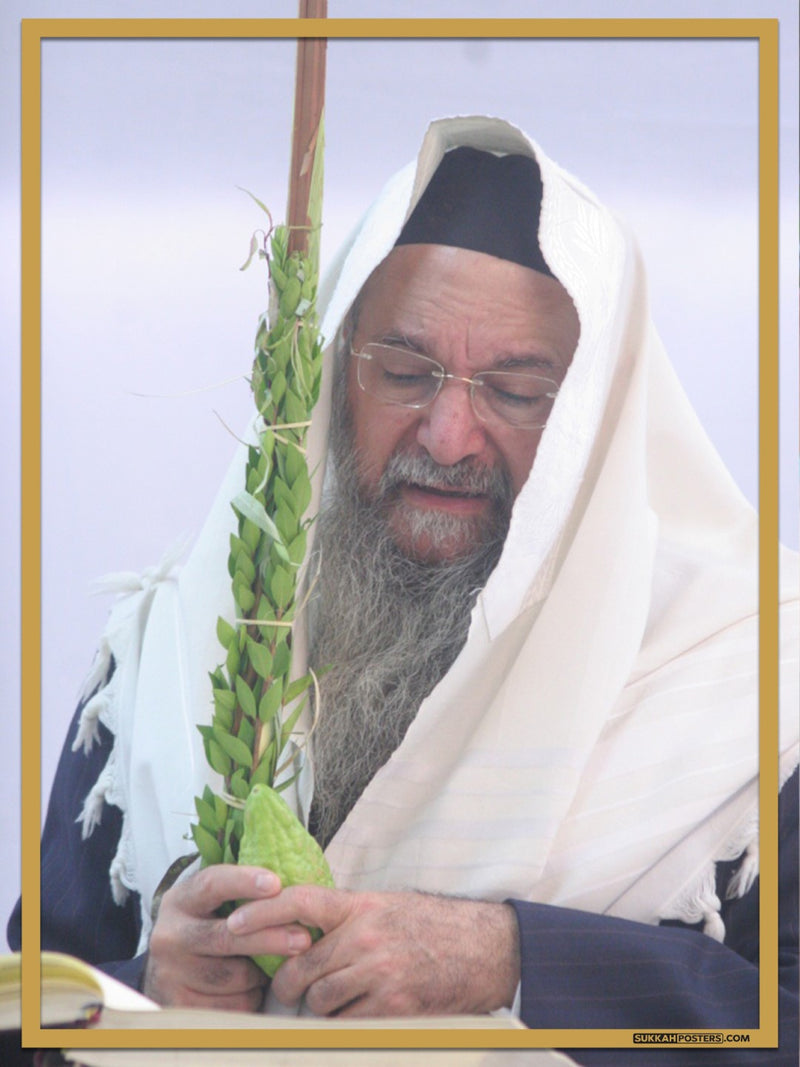 R' Yaakov Hillel Sukkah Poster
