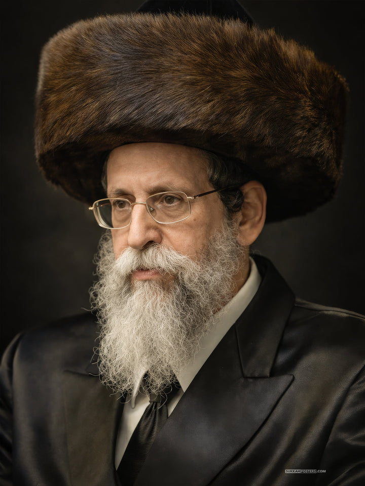 Boyaner Rebbe Sukkah Poster