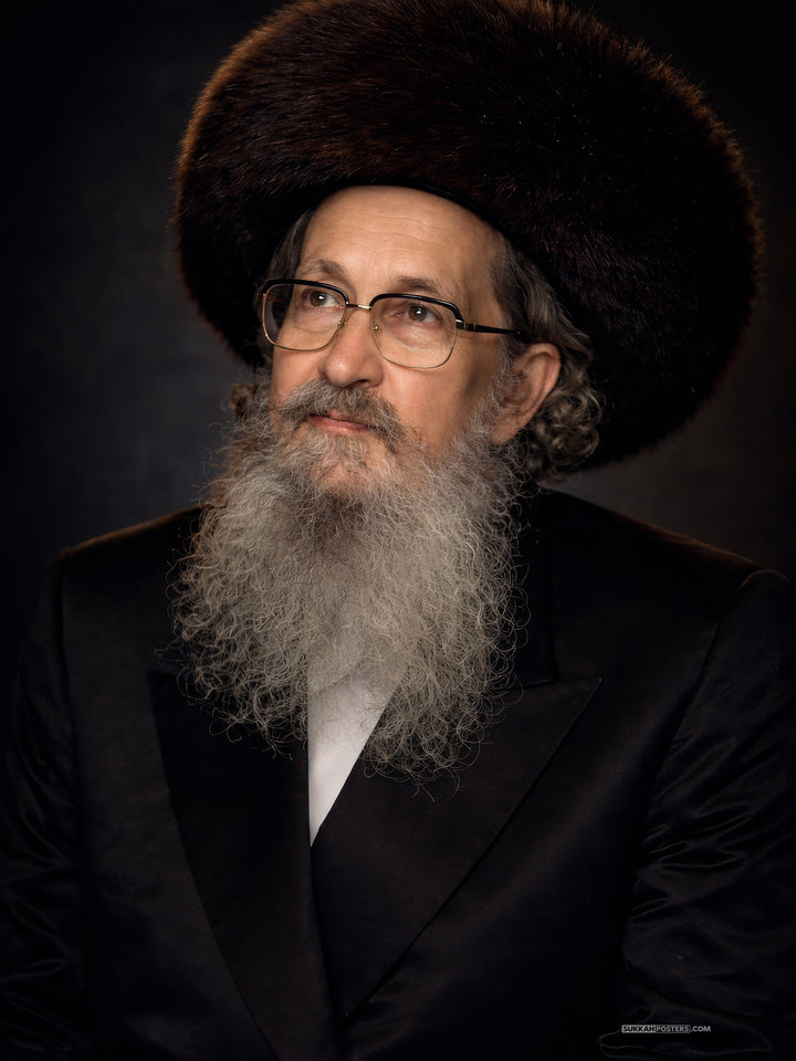 Nesivos Shalom Sukkah Poster