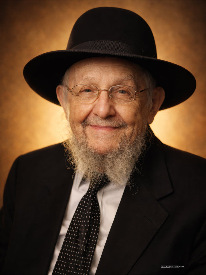 R Dovid Feinstein Sukkah Poster