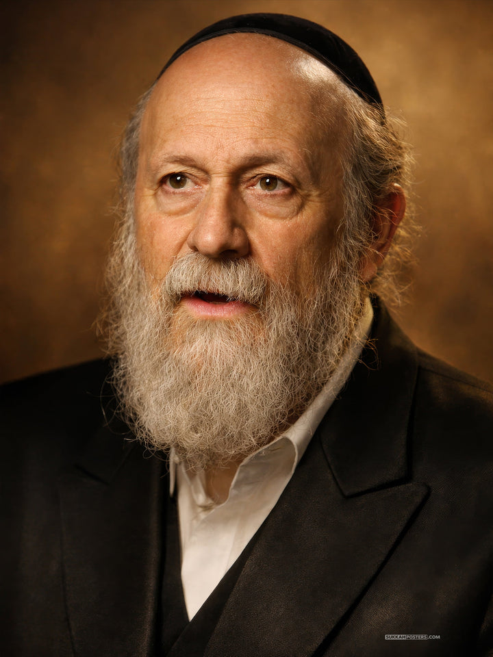 R Moshe Weinberger Sukkah Poster